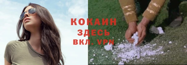 метадон Армянск
